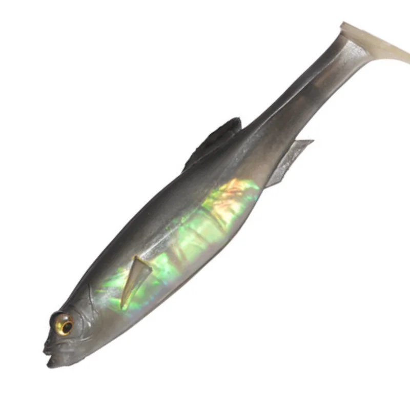 SILVER SHAD