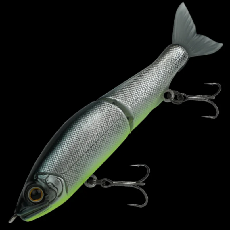 #13 BLUE SHAD