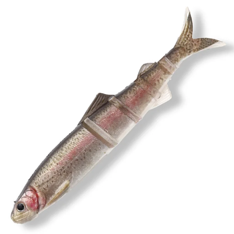 #S-485 3DR RAINBOW TROUT