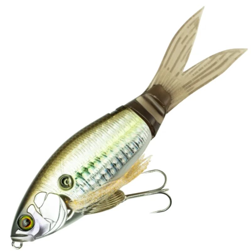 THREADFIN SHAD