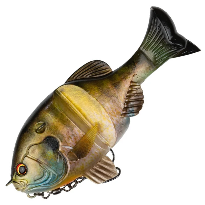 #S-558 3DR MALE BLUEGILL