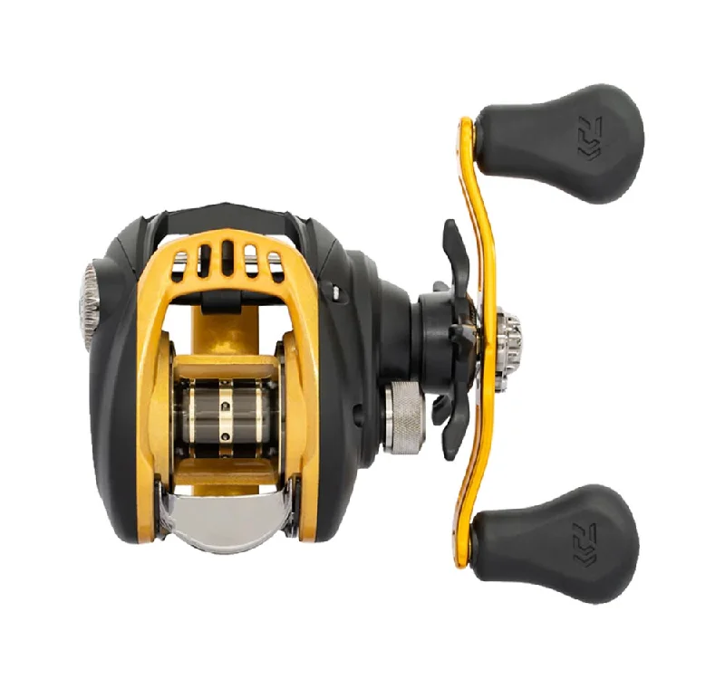 Fishing Reel For Tight Lines-Daiwa Aird 100HDA Baitcast Reel