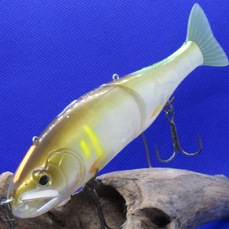 Lures For Hard To Catch Fish-SG+ AYUROID [Used]